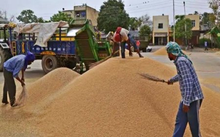 Paddy Procurement To Wear Festive Look In Odisha