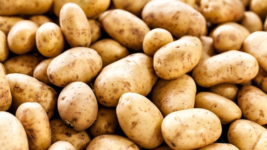 Potato Crisis Worsens In Odisha, Price Soars